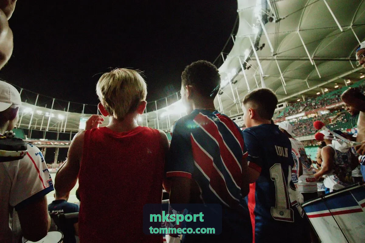 mksport 数据服务